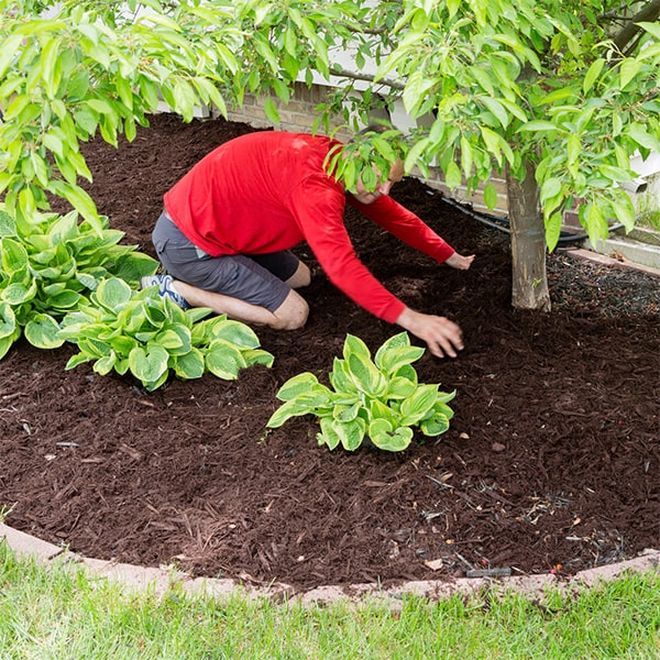 mulch installation on a large property involves proper preparation of the area, followed by spreading and evenly distributing the mulch